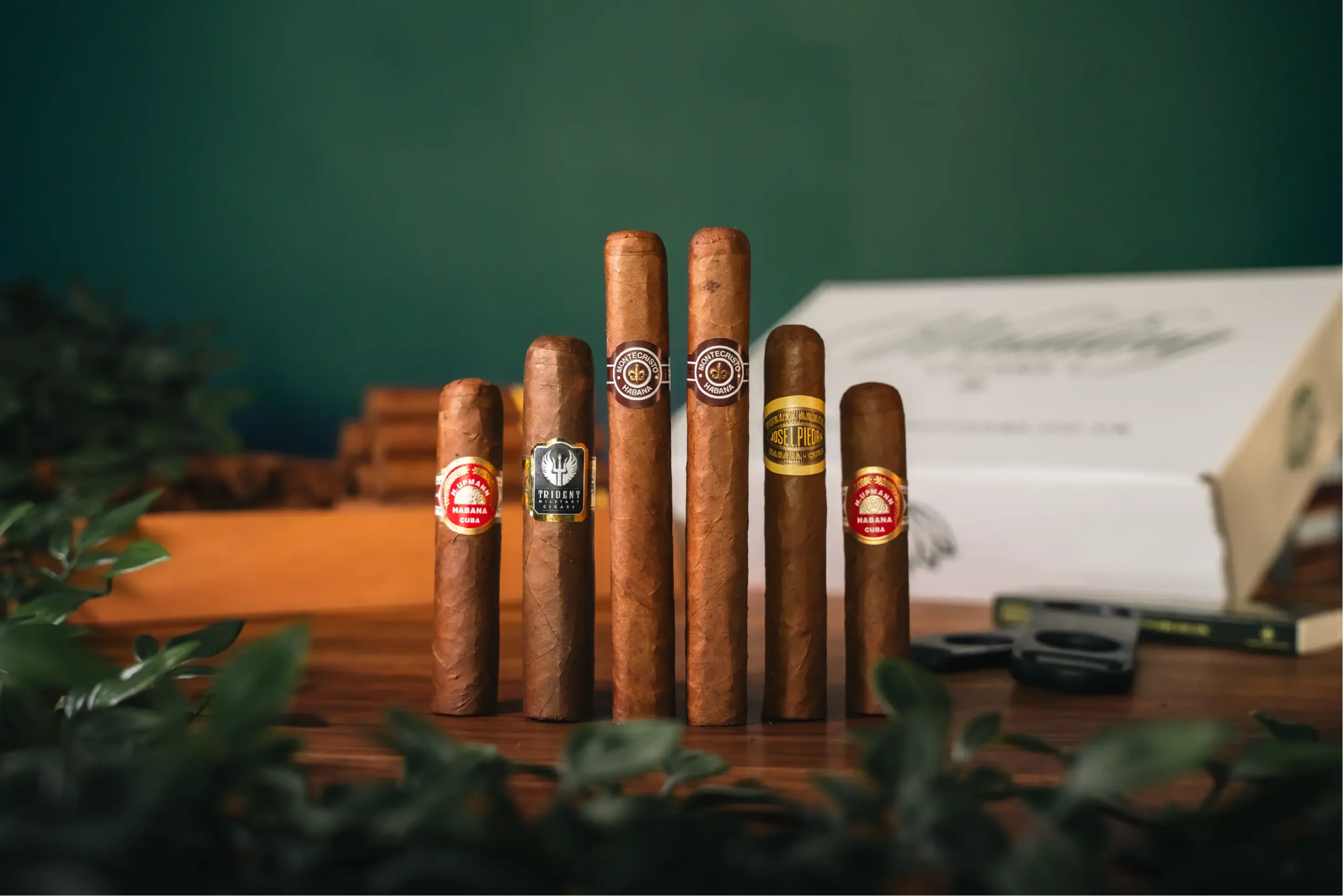 Our Full Line up