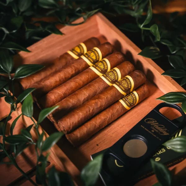 The Classic Cuban - 10 Person Group Package