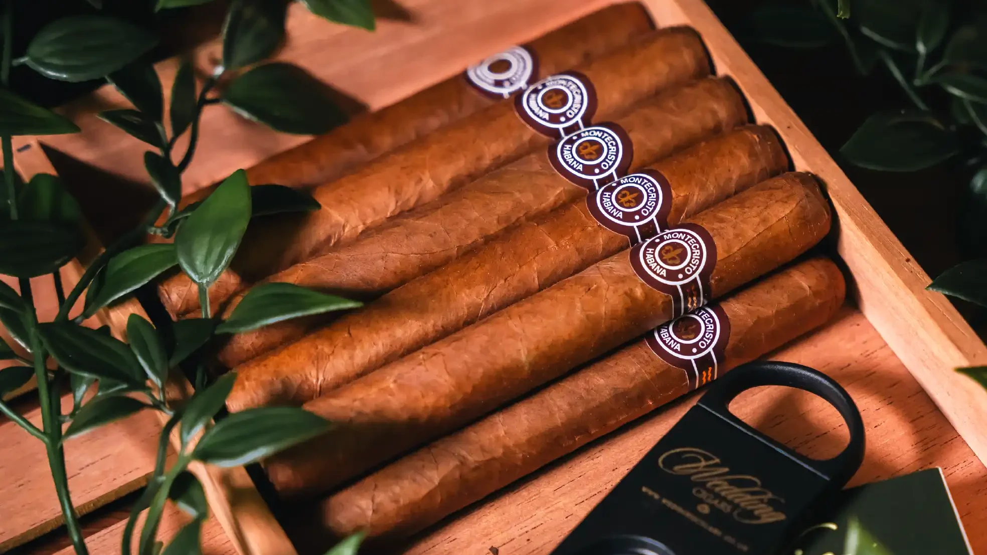 The Aficionado 10 person group pack