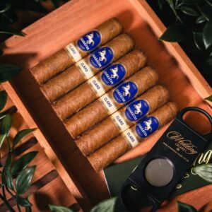 The Half Churchill - 10 Person Group Package