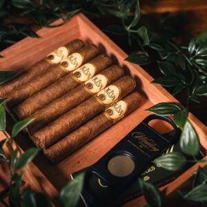 The Robusto - 10 Person Group Package